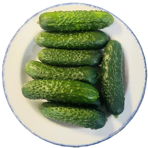 Огурцы Маринда